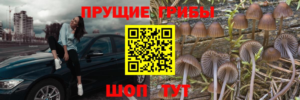 Псилоцибиновые грибы MAGIC MUSHROOMS  Вход с VPN  Качканар 